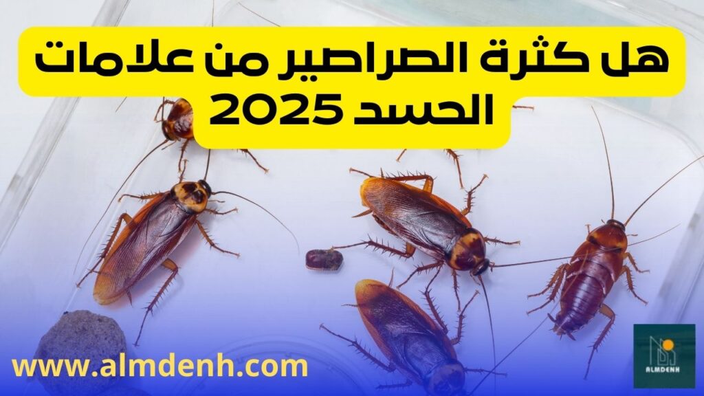 هل كثرة الصراصير من علامات الحسد 2025