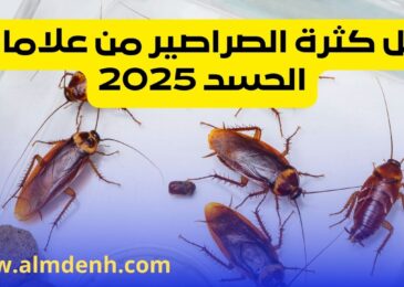 هل كثرة الصراصير من علامات الحسد 2025