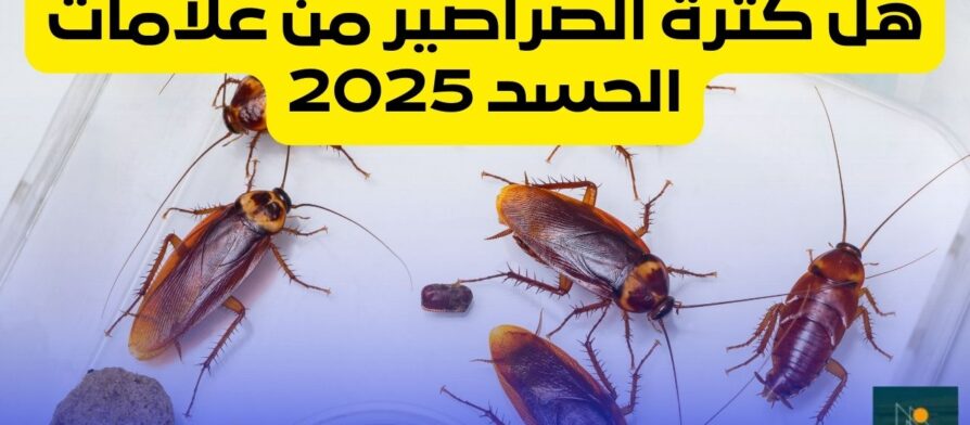 هل كثرة الصراصير من علامات الحسد 2025