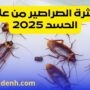 هل كثرة الصراصير من علامات الحسد 2025