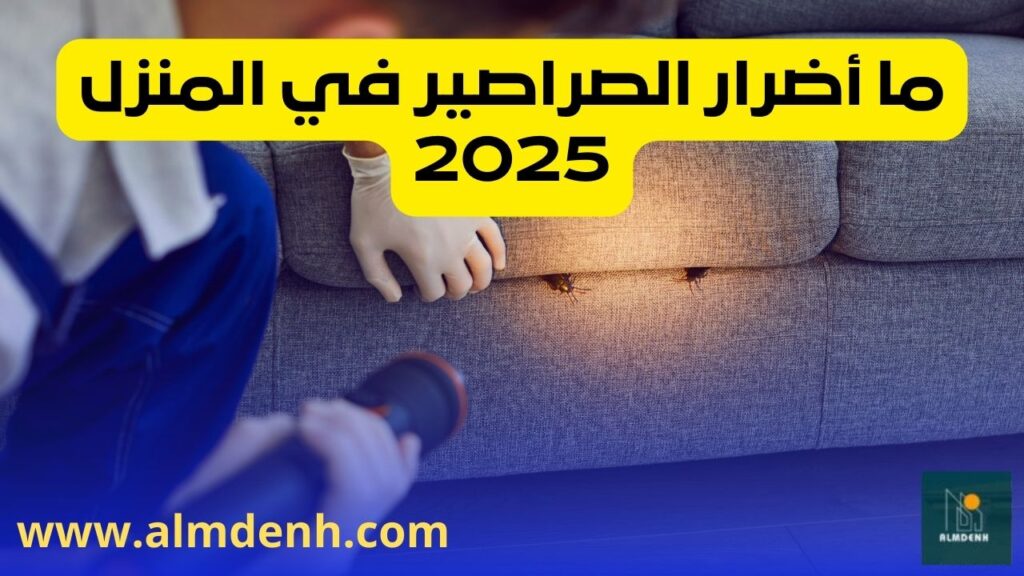 ما أضرار الصراصير في المنزل 2025