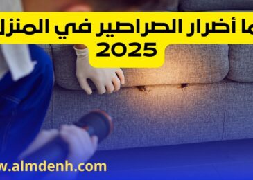 ما أضرار الصراصير في المنزل 2025