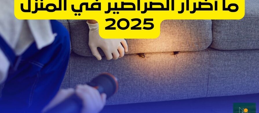 ما أضرار الصراصير في المنزل 2025