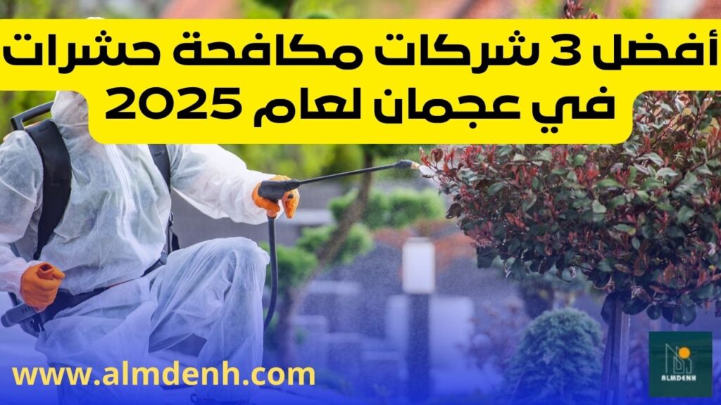 أفضل 3 شركات مكافحة حشرات في عجمان لعام 2025