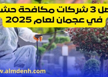 أفضل 3 شركات مكافحة حشرات في عجمان لعام 2025