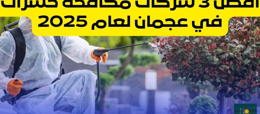 أفضل 3 شركات مكافحة حشرات في عجمان لعام 2025