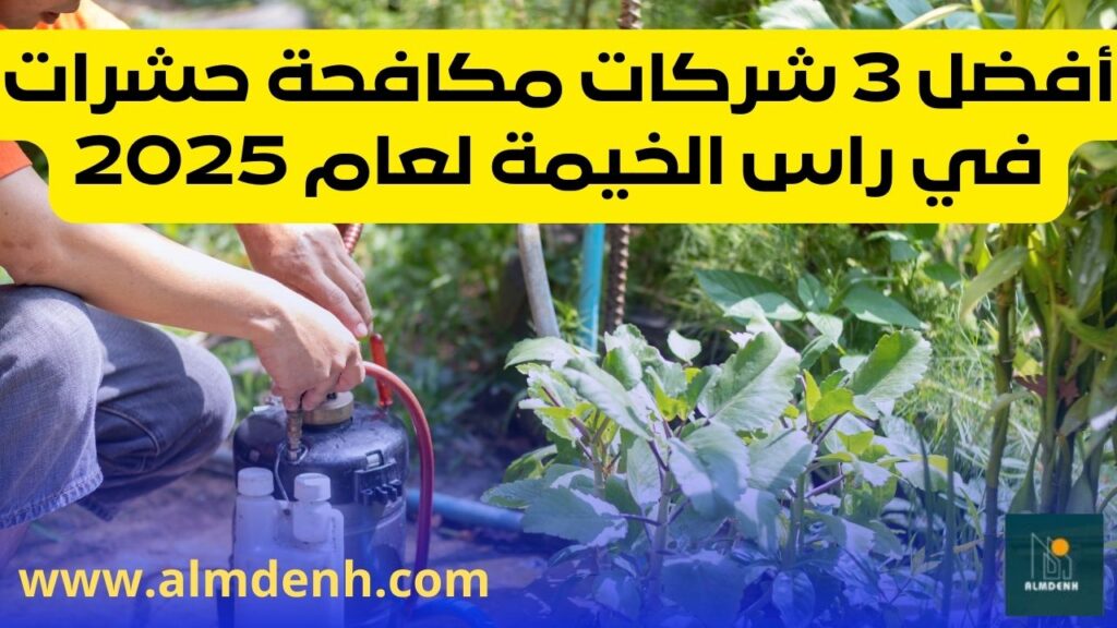 شركة مكافحة حشرات في راس الخيمة 