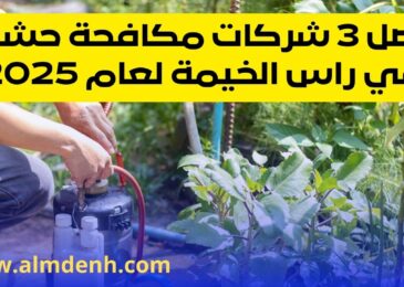 شركة مكافحة حشرات في راس الخيمة