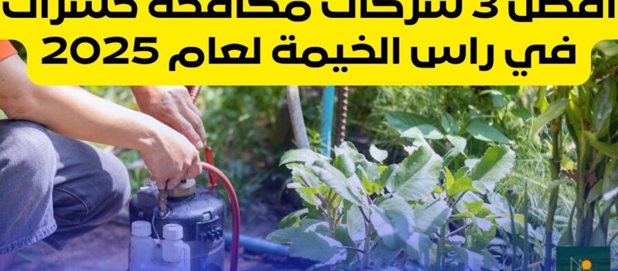 شركة مكافحة حشرات في راس الخيمة